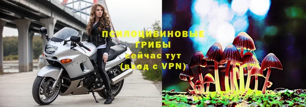 spice Алексин