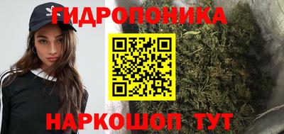 гашик Донецк