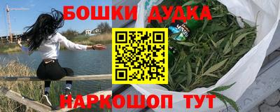 spice Дубна