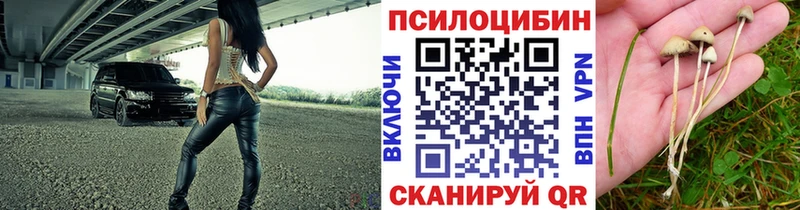 Псилоцибиновые грибы мицелий  наркошоп  Тулун 